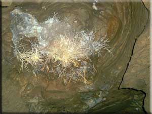 Aragonit H&ouml;hle