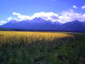 Hohe Tatra