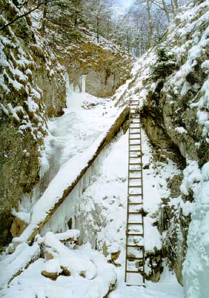 Verschneite Schlucht